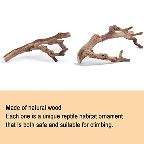 Bnosdm Reptile Wood Branches Decor Lizard Habitat Decoration Terrarium Tree Trunk Ornament For Bearded Dragon Gecko Snake Frog Chameleon Spider 2Pcs #TOP3