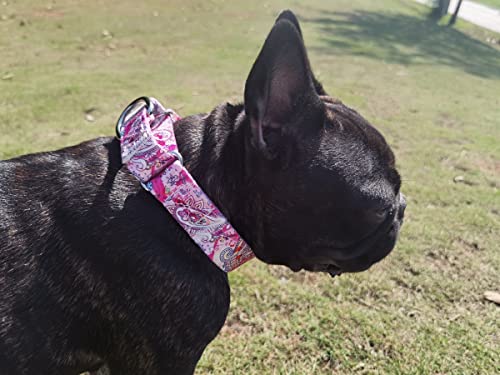 Pimaodog Heavy Duty Nylon Dog Collar, Adjustable Martingale Dog Collar For Walking Training Boy And Girl Dogs Medium Large Dogs (M:36-45Cm, White1) #TOP3