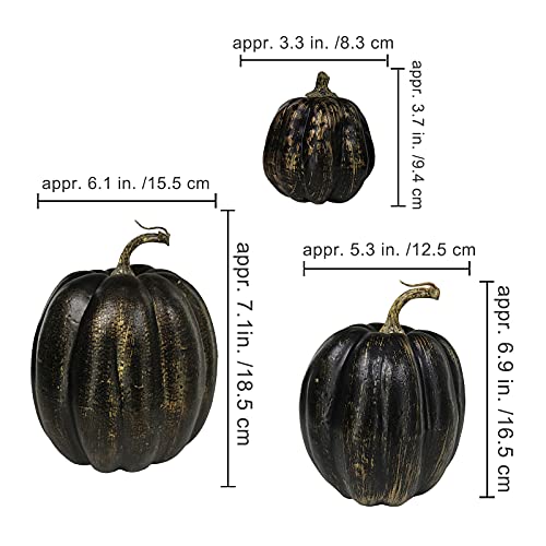 Image of Winlyn 7 Pcs Assorted Artificial Gold Brush Black Pumpkins Rustic Decorative Halloween Faux Foam Pumpkins for Fall Halloween Thanksgiving Tabletop Centerpiece Mantel Kitchen Decor