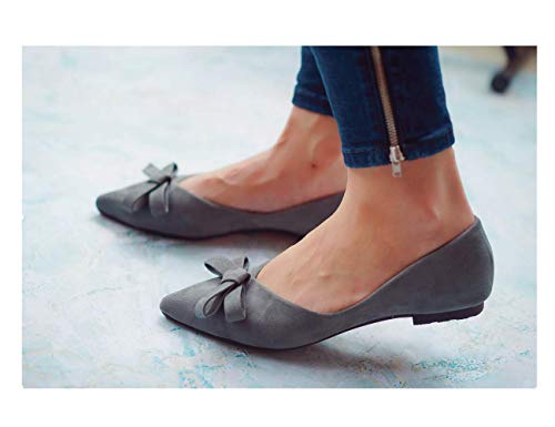 C.paravano Blue Flats Shoes Women I Women’s Pumps I Flat Shoes For Women I Pointed Toe Flats I Slip On Shoes Ballet Flat (Size 39, Blue Bow Knot #TOP4