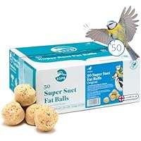 RSPB - Fat Balls, Bird Food for Outside Birds, High Energy Suet Balls, Made in the UK, Delicious and Nutritious, Suitable for Year-Round Feeding