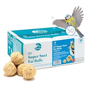 RSPB – Fat Balls for Wild Birds, High Energy Suet Balls, Made in the UK, Delicious and Nutritious Bird Food, Suitable for Year-Round Feeding (Box of 50)