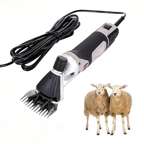 Tondeuse à mouton électrique 500W à 6 vitesses pour bétail et alpagas