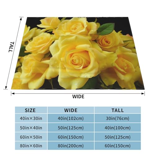Couverture en microfibre douce toutes saisons pour canapé sofa et lit - 3