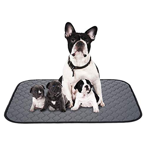 ペットシーツ 洗える 猫 犬用 おしっこパッド ペット用 トイレ下敷きマット 速乾 洗える 大判サイズ 多頭飼いに最適(グレーXL 二枚セット)