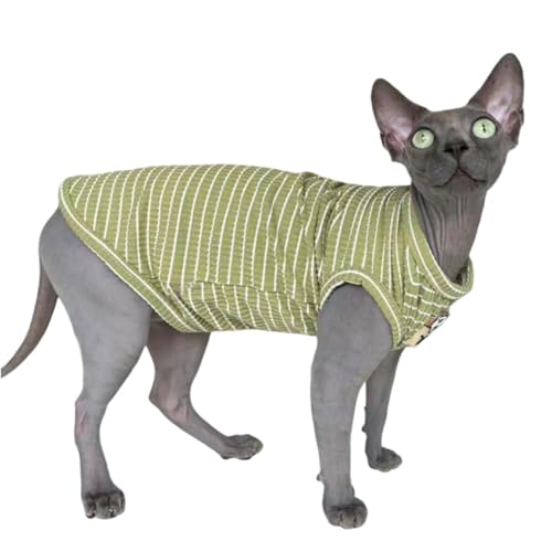 #1 Best Green Stripe Sphynx - Premium Pet Apparel Set - Image 3