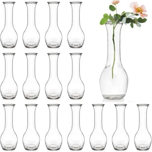 ZOOFOX Set of 16 Glass Bud Vase, Small Vases for Single Rose, Clear Glass Flower Bottle for Rustic Wedding Centerpieces, Home Table Flower Decor, Floral Arrangements