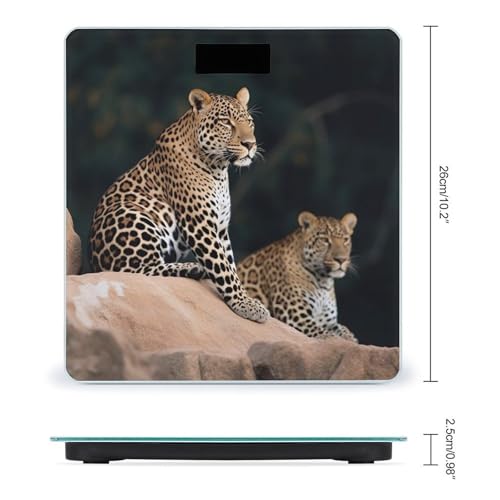 Báscula Digital de Baño Leopardo Africano en Vidrio Templado miniatura 2