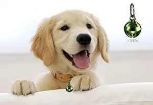 Bell Collar Tag Cum Pendant Cum Collar Accessory for Dog / Puppy / Kitten / Cat (Green)