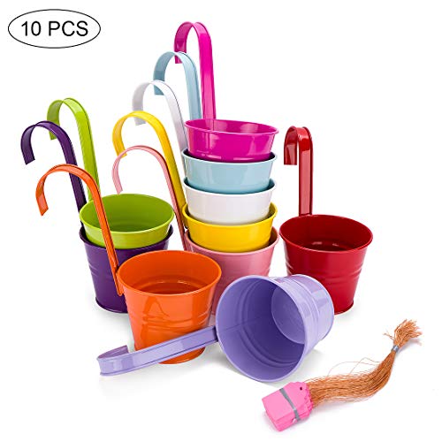 zedela Maceta Colgante de Metal, Jardinera con Gancho Desmontable y Orificio de Drenaje, macetero Colgante para Balcón Jardín (10 macetas Surtido de 10 Colores)