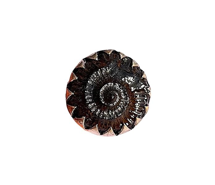 Orignal Sudarshan Shaligram Ring for men Natural Original Nepal Gandaki River Sudarshan Chakra Saligram Ring in White Metal sudarshan ring-image-3