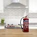 Smartwares 10.014.72 (BB6) Extintor de Polvo seco, 6 kg, Resistencia al Fuego...