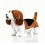 Basset Hound/29 Cm