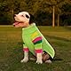 IECOii Hundepullover,Warmer Hundepullover Kleine Hunde,Rollkragen Strickpullover Hund Pullover, Gestrickt Hundebekleidung für Welpe und Katzen,Herbst Winter Yorkshire Chihuahua Kleidung