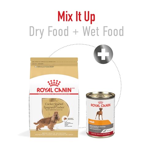 ROYAL CANIN Breed Health Nutrition Cocker Spaniel Adult Dry Dog Food, 25-Pound by Royal Canin