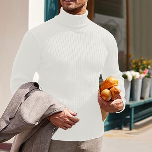 Men's Turtle Neck Sweaters Casual Slim Fit Lightweight Long Sleeve High Neck Pullover Fall Winter Warmth Jumper Top2