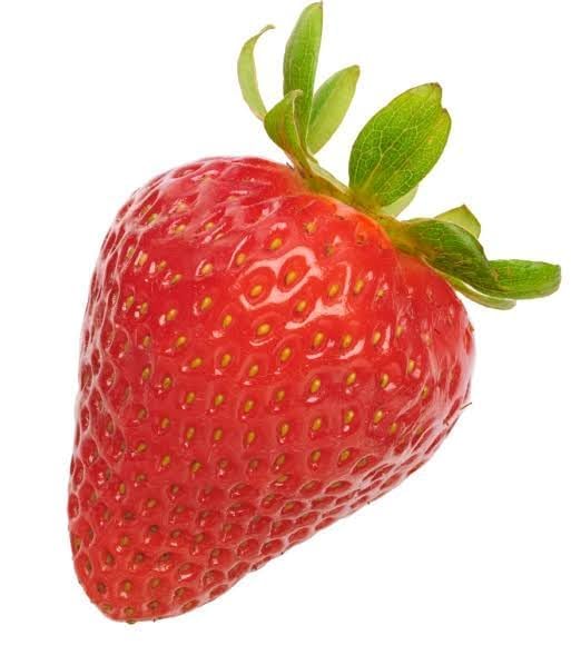 Image of Red Gauntlet Strawberry Live Fruit Plant | Hybrid Variety for Home Garden | High Yield | Fast Growing Healthy Sapling | Live Plant for Terrace, Balcony & Backyard Gardening - Pack of 1