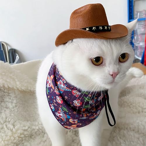 Sombrero vaquero para perros y gatos disfraz fiesta miniatura 3