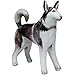 Jet Creations Inflatable Husky Dog Alaskan Pet Animal 32" Long for Party Decoration Gift Stuffed Animals Pool Toy an-Husky