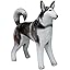 Husky: White Black