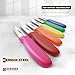 Giesser since 1776, Made in Germany, Serrated kitchen knives round tip dishwasher safe 4.5 inch - Tomato knife, Steak knive set of 6 (MIX Color)