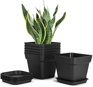 T4U Plastic Plant Pots for Indoor Plants 6PCS, 14.5CM Black Square Planter Small Flower Pot with Drainage Tray, Outdoor Nursery Planting Pot for Snake Plant, Orchid, Peace Lily, Aloe and House Plants