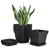 T4U 14,5cm Kunststoff Blumentopf mit Untersetzer, 6er-Set Pflanztopf Plastik Kräutertopf zum Mehrere Ablauflöchern, Eckig Anzuchttöpfe Pflanzgefäß für Innen und Garten Sukkulenten Kaktus, Schwarz