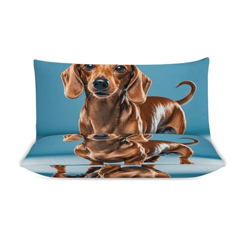 Parure de lit teckel couette chaude grand lit résolvant les nuits fraîches