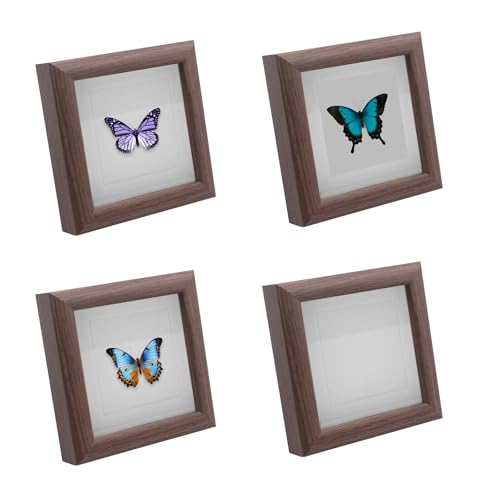 Insect Display Case Set Butterfly Shadow Box (4 pcs)