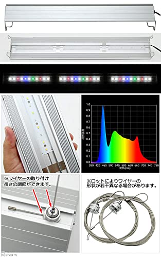 Amazon | スーパークリア オールガラス60cm水槽 アクロ60S 