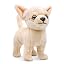 Chihuahua Dog Yellow 10