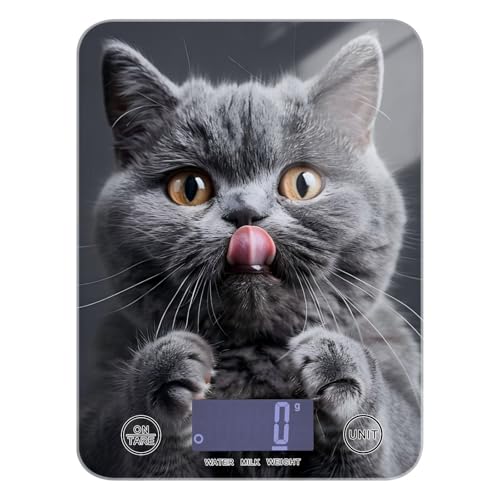 Báscula digital portátil con pantalla LCD de gato de pelo corto gris inglés de 11 libras/2 onzas, mini báscula digital de 5 kg/5 g con 4 unidades para hacer jabón, asar y cocinar (pilas no incluidas)