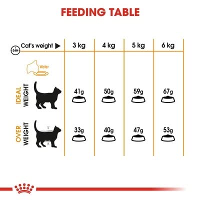 Image of Royal Canin - Royal Canin Hair & Skin 33 - 203 - 400 g.