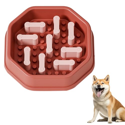 Lifetips ČiShiba Inuj ybgpX[t[h{E Lp Hh~  Փx ~ 􂢂₷ NǗ 킢fUC iB^Cv ubNbhj