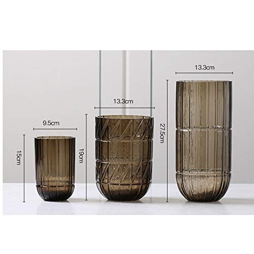 Vase en verre pour fleur et culture hydroponique sur table de salon