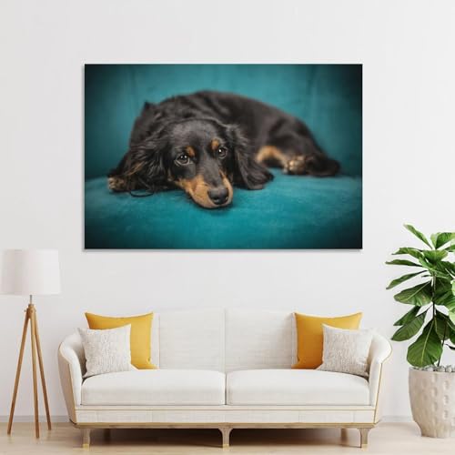Poster teckel sur toile premium 60 x 90 cm avec impression d'art - 4