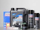 honda rvf 750 rc45 technische daten Wartungs - Set Honda RVF 750 R