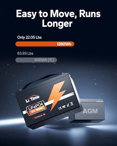 LiTime 12V 100Ah LiFePO4 Battery