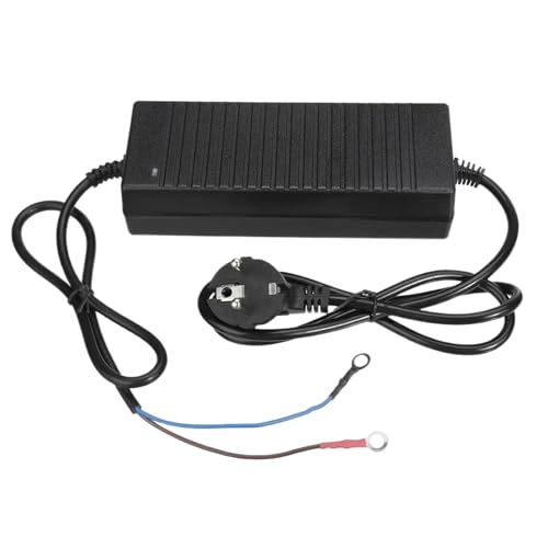 Attivazione istantanea del riscaldamento: progettato con attivazione del riscaldamento istantaneo, questo convertitore da 12 V a 110 V garantisce la fornitura di energia ai dispositivi collegati. Fornisce prestazioni costanti per piccoli elettrodomestici ed elettrodomestici da cucina in qualsiasi ambiente, da un furgone a un ufficio domestico.