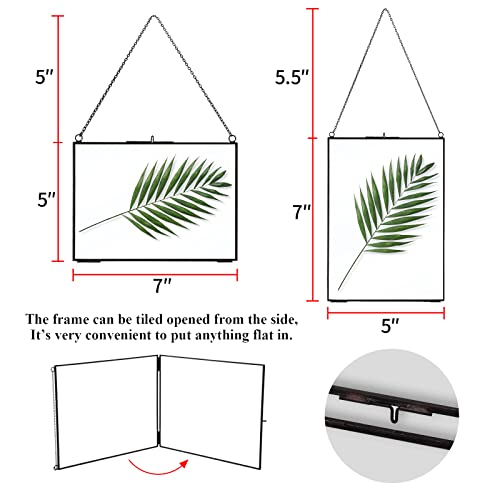 Tlbtek 2 Pcs Black Hanging Photo Frame, 5X7 Inch Double Glass Frame For Pressed Flowers,Clear Diy Vintage Artwork Display Frame Wall Mounted Photos Frame（Horizontal+Vertical） #TOP2