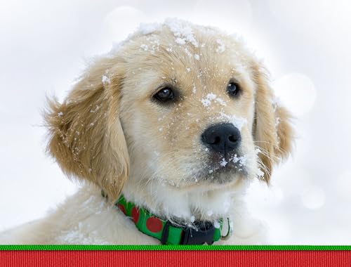 Team Husar All I Want for Christmas Golden Retriever Puppy Dog Christmas Premium Holiday 15 Cards, 16 White Envelopes
