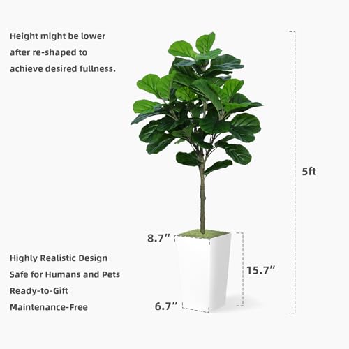 ASTIDY Fiddle Leaf Fig Tree Artificial 5FT - Faux Plant With Black Tall Planter - Fake Ficus Lyrata Floor Plant in Pot for Home Office Living Room Decor Indoor by ASTIDY - Image 6