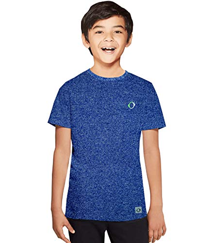 Image of Boys Round Neck - Regular Fit - Blue Colour.