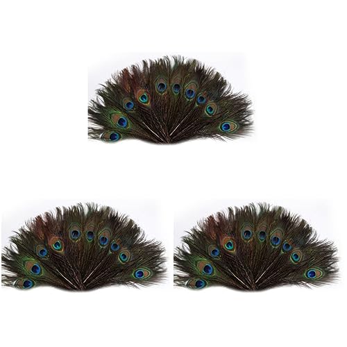 Plumes de paon naturel pour vase et décoration de mariage vintage | 300 pcs