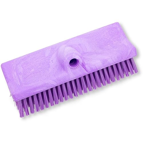 Image of SPARTA 40423EC68 Plastic Floor Scrub Brush, Wall Brush, Equipment Brush With Nonabsorbent Bristles For Industrial Kitchens, Hospitals, Commercial Cleaning, 10 Inches, Purple, (Pack of 2)