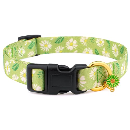 Grünes Hundehalsband Mit Gänseblümchen – Verstellbar, Weich, Für XS Bis XL Hunde