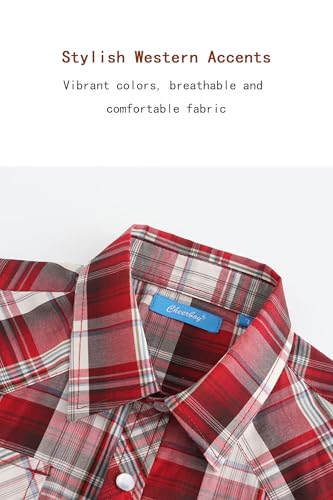 Boy's Toddler Child Kids Casual Dress Western Short Sleeve Snap Plaid Button Down Shirts3