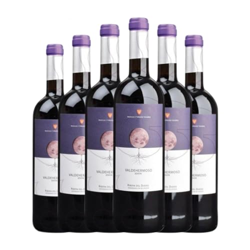 Valderiz Valdehermoso Tempranillo Ribera del Duero Joven 75 cl Vino tinto (Caja de 6 Botellas de 75 cl)