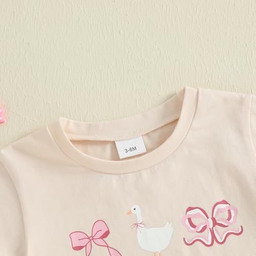 Summer Clothes Newborn Baby Girl Short Sleeve Bubble Romper Bow Goose Printed Bodysuit Top3