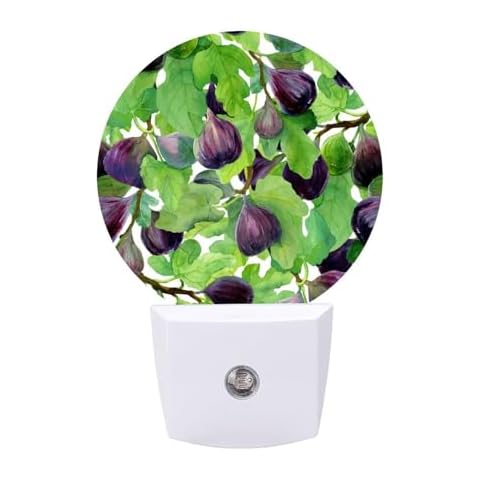 Niapessel Night Lights Plug Into Wall Figs Fruit on Branch Print Nightlights with Light Sensors Led Night Light Automatic for Bedroom Hallway Bathroom Kitchen Cover